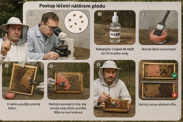 Ilustrační fotografie k tématu článku: Nátěr plodu jako opatření proti varroáze v předjaří